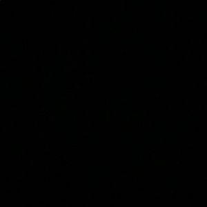 Meet your Posher, Autumn